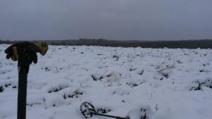 2017-11-15 15-35-45.JPG