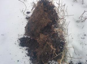 2017-12-10 13-28-12.JPG