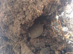 2017-12-10 13-28-25.JPG