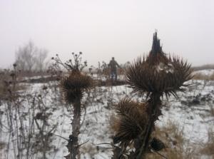 2017-12-10 13-57-59.JPG