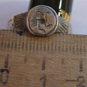 Изображение 2977.jpg