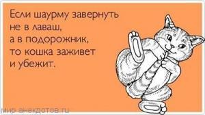 картинка-анекдот-с-надписью-13.jpg