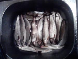 28 сентября....jpg