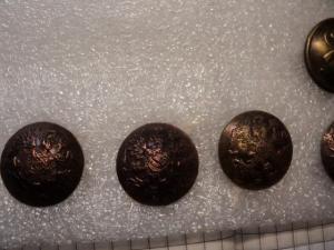 DSC08074 (Small).JPG