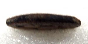 ордын гур.jpg