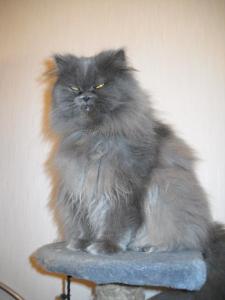 Изображение 012_новый размер.jpg