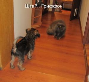 0001111_новый размер.JPG