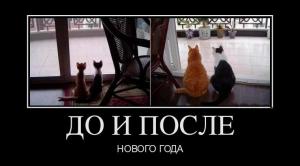 до-и-после-нового-года.jpg