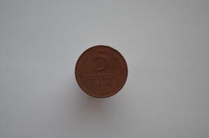 DSC_0149 (Копировать).JPG