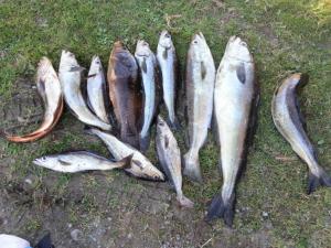 2012-10-27 14.22.30-1280x960.jpg