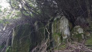 2015-04-03 17.45.02-1280x720.jpg