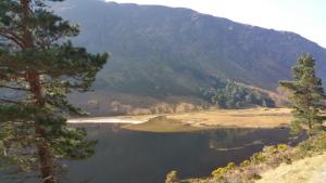 2015-03-22 11.34.30-1280x720.jpg