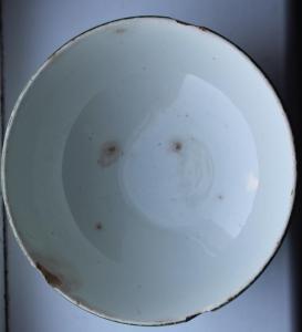 Изображение 2516.jpg