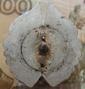 Шталини (2).JPG