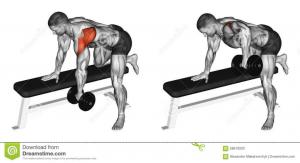 exercising-thrust-dumbbells-slope-rear-deltoid-bodybuilding-target-muscles-marked-red-initial-final-steps-58670933.jpg