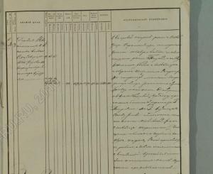 Синенькие-Новая Лопатка.jpg