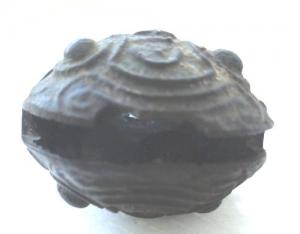 Изображение 26467.jpg