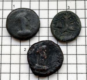 DSC_5480 (Custom).JPG