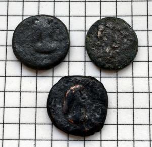 DSC_5481 (Custom).JPG