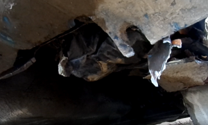 Снимок экрана (70).png