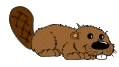 beaver.gif.36722311202a089af654a4867a901c4a.gif