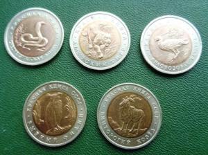 Изображение 28253.jpg