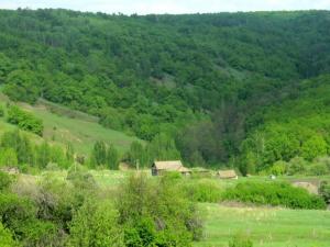 Изображение 551.jpg