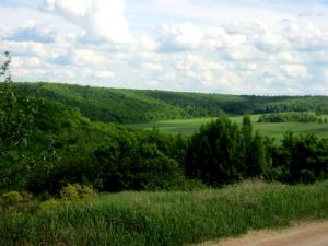 Изображение 553.jpg