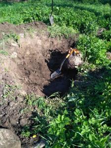 IMG_20180517_092949_новый размер.jpg