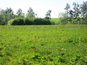 Изображение 555.jpg