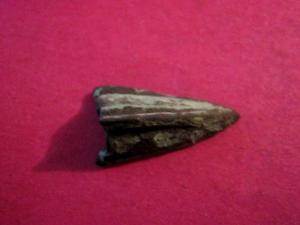 Изображение 545.jpg