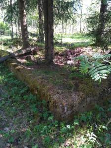 IMG_20180521_095941_новый размер.jpg