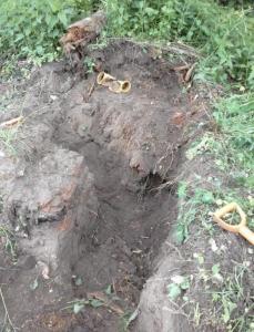 LBiddr4upTc.jpg.49aedb2893eee9d2fc9dd324c3fa17fd яяя.jpg