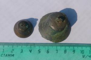 2018-06-29 00.48.24.jpg