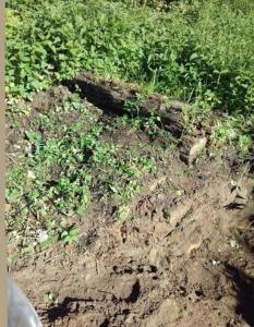 Zv2q59_aeJQ.jpg.6317cc5f2eb011810f27b749a1697677 яяя.jpg