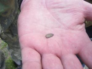 Изображение 610.jpg