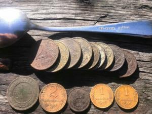 Лес после дождя.jpg