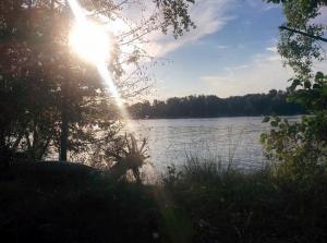 2018-06-30 19-22-46.JPG