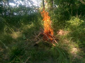 2018-06-30 15-54-29.JPG