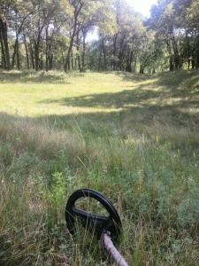 Устал. Жара по 30гр. 08.08.2018.jpg