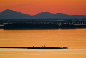 В золоте заката 1 - копия.JPG