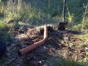 А так красиво звенела...08.08.2018.jpg