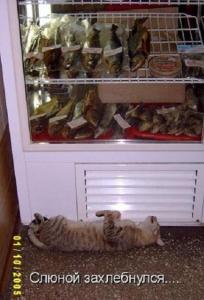 11894769 - копия.jpg