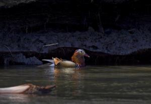 Лучик света в темном царстве - копия.JPG