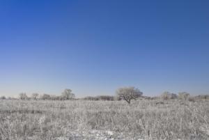 В полях - копия.JPG