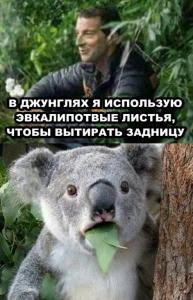 11894358 - копия.jpg