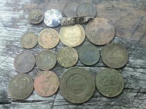 Лесные потеряшки!.jpg