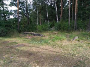 IMG_20180814_085954_новый размер.jpg