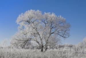 И один в поле - воин - копия.JPG