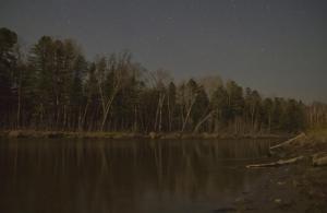 _MG_8710 - копия.JPG